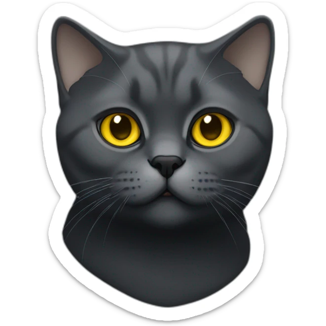 british shorthair cat in the Color dark black smoke with yellow eyes sticker