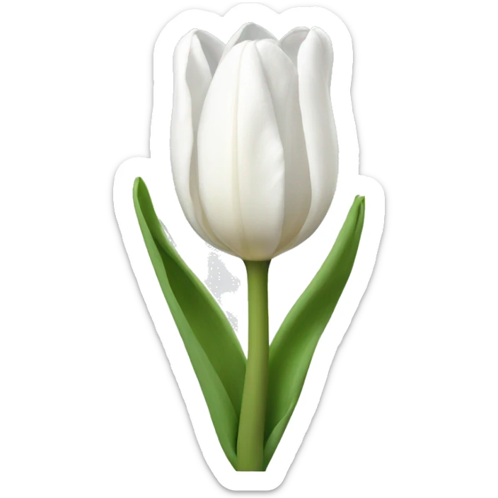 White tulip sticker