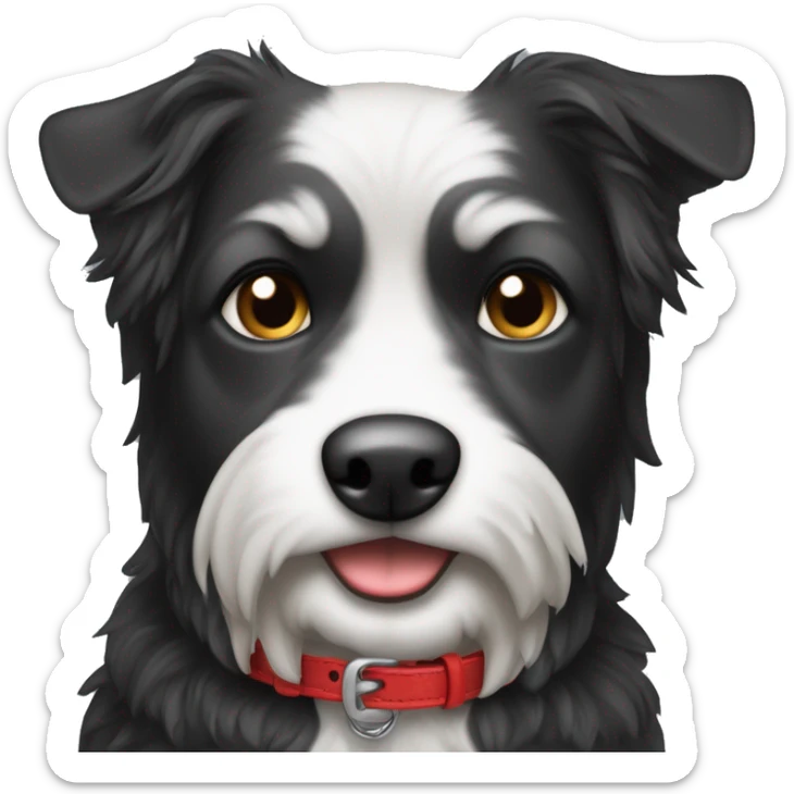 Schwarzer lockiger kleiner Hund mit rotem Halsband und weißen Augenbrauen und Füßen sticker