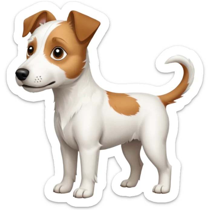 a full body large white parson russell looking dog the size of a kelpie with light brown ears and a light brown patch on one eye and a large snout sticker