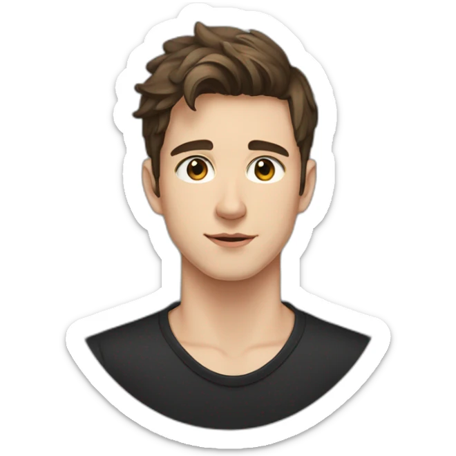 portrait of 18 years old guy, brown hair to the left, gray eyes, black shirt sticker