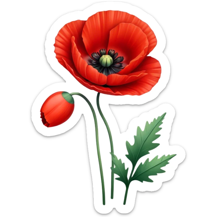 poppy  sticker