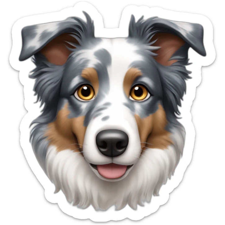 blue merle tricolor border collie with lots of grey and brown on the face sticker
