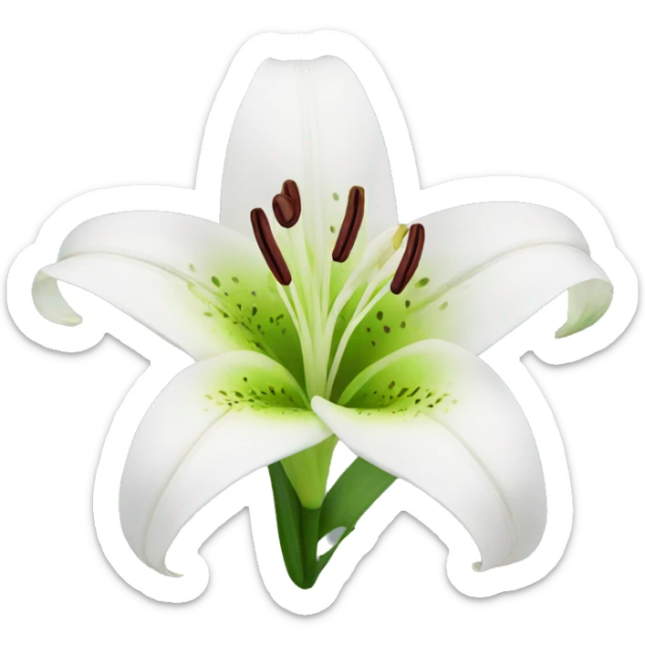 Lily flower sticker