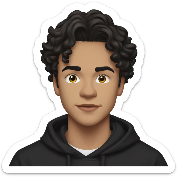 Conan Gray is an American singer-songwriter and former YouTuber. Born in Lemon Grove, California, and raised in Georgetown, Texas, he began uploading dark hair, long short rockstar light sticker