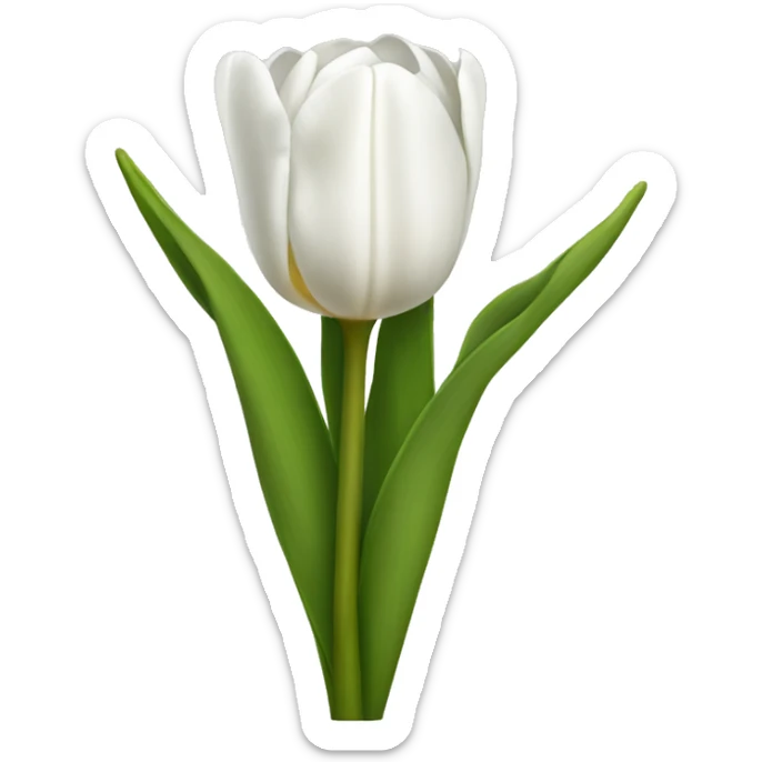 White tulips sticker