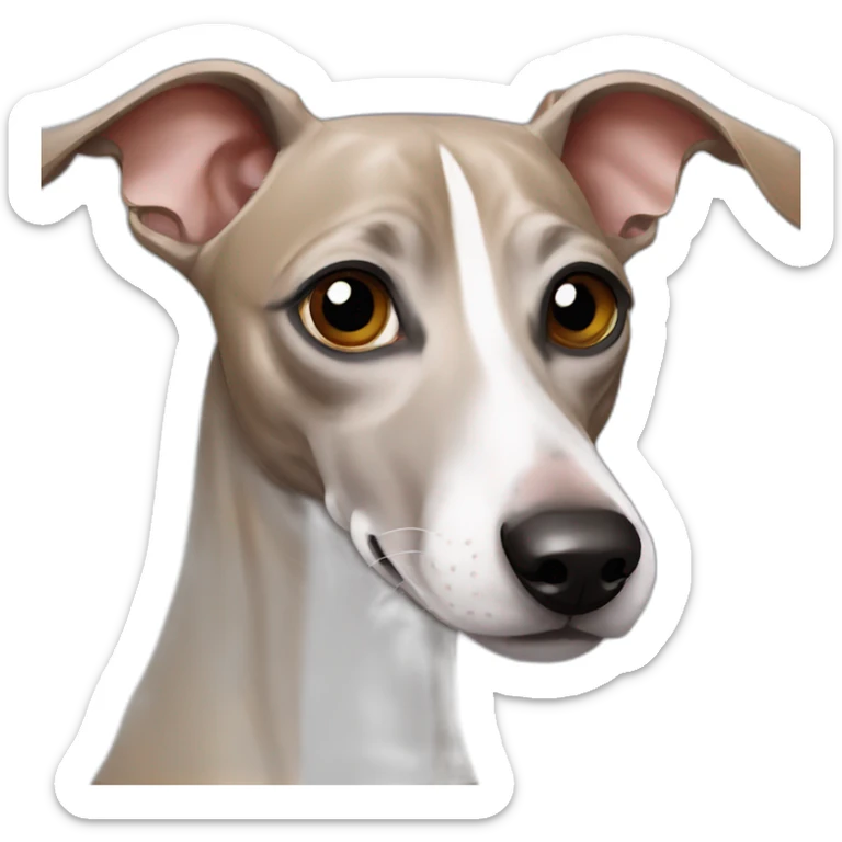 Italian greyhound sticker