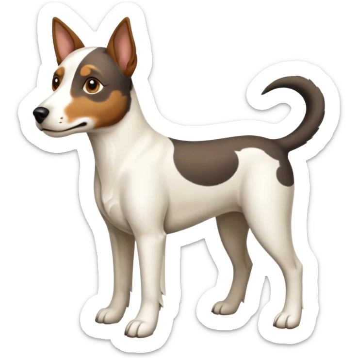 a full body large white floppy eared parson russell looking dog the size of a kelpie with light brown ears and a light brown patch on one eye and a large snout sticker