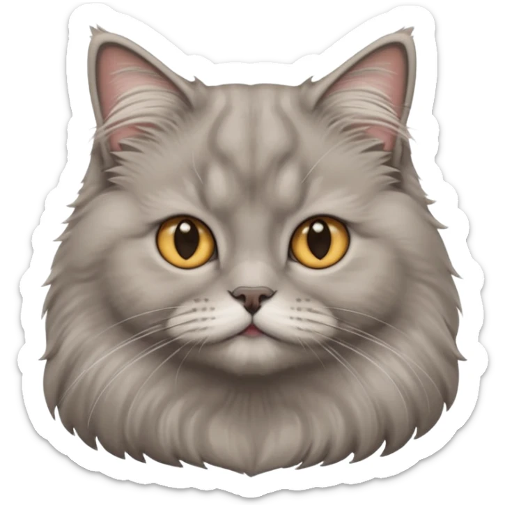 graue fluffige katze brittisch lang haar katze keine falten auf der stirn graue nase süß sticker