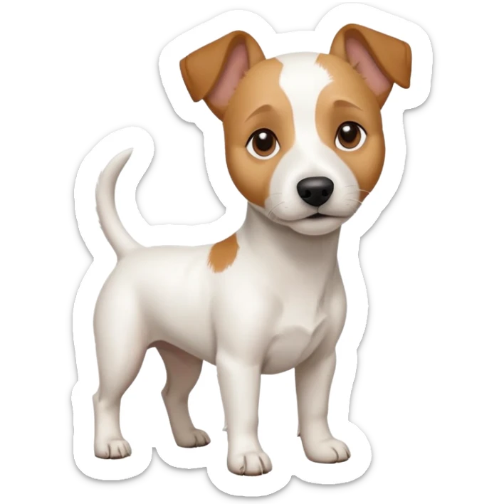 a full body white jack russel looking dog the size of a kelpie with light brown ears and a light brown patch on one eye and a large snout sticker