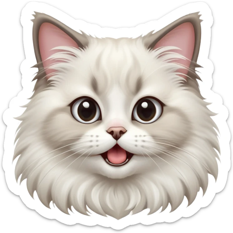 cinematic-adorable-big-eyed-fluffy-ragdoll-cat-portrait-emoji,-head-tilted-playfully-with-a-cute,-exaggerated-yawn,-white and grey fur,-simplified-yet-irresistibly-cute-features sticker