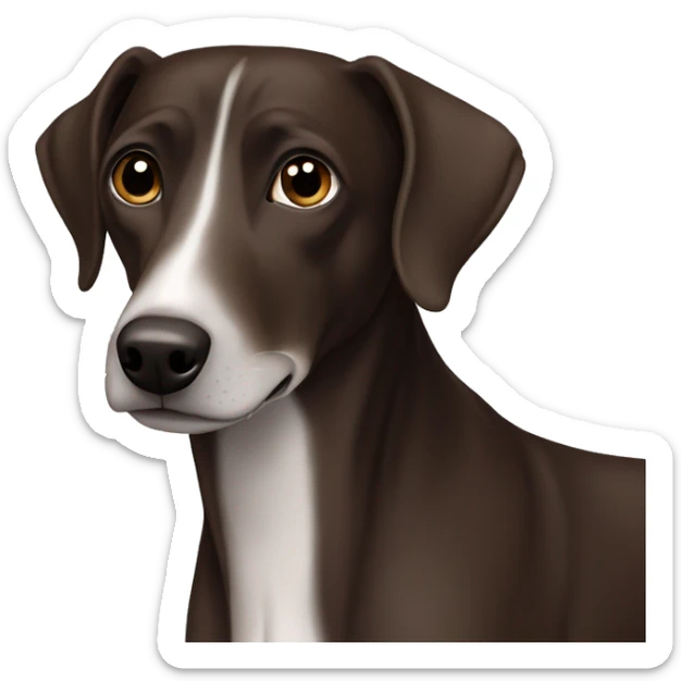 All Dark brown Formosa mountain dog and Italian greyhound mix, dark brown eyes, ears up sticker