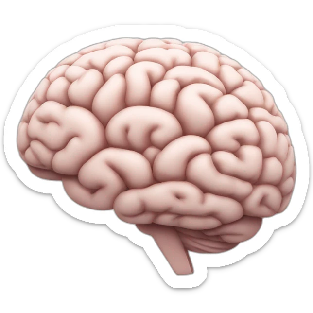 brain learning sticker