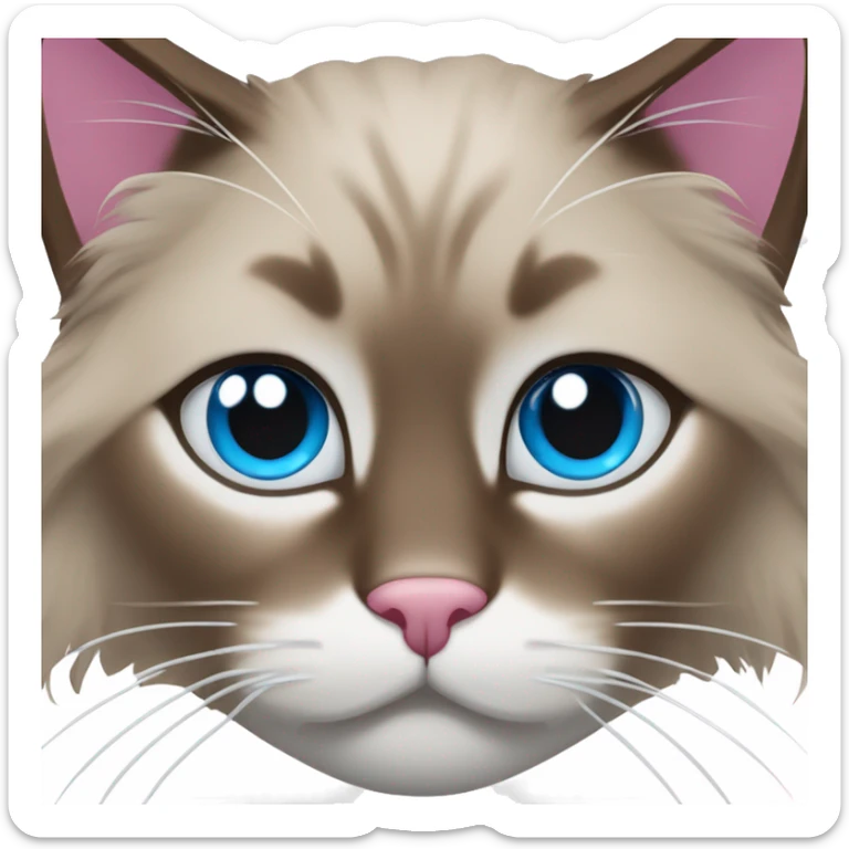 brown ragdoll cat with white in the middle of face that's a bit crooked on the top of the nose, with a  pink and brown nose, and blue eyes sticker