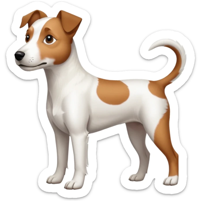 a full body large white parson russell terrier looking dog the size of a kelpie with light brown long ears and a light brown patch on one eye and a large snout sticker