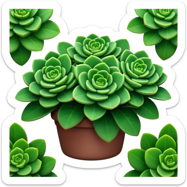 Cinematic Realistic Crassula Emoji, Compact and vibrant, with small, fleshy leaves arranged in thick, rounded clusters. The deep green hue of the leaves radiates calm, while their structured growth speaks of endurance. Soft glowing outline, capturing the essence of perseverance and tranquility in a crassula plant! sticker