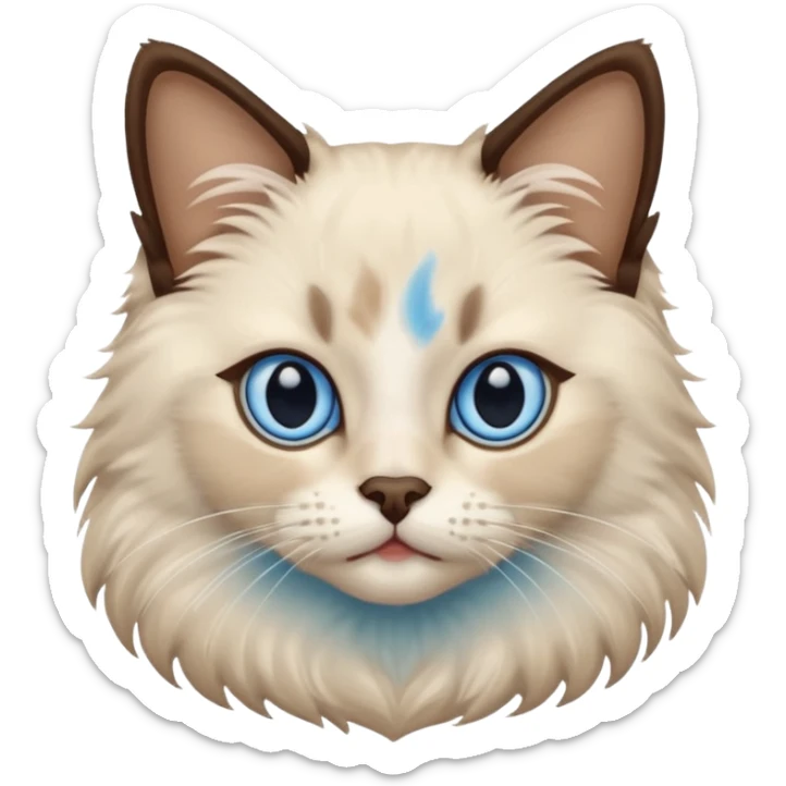 Ragdoll cat, with dark brown nose/center face area with surrounding beige fur, bright blue eyes sticker