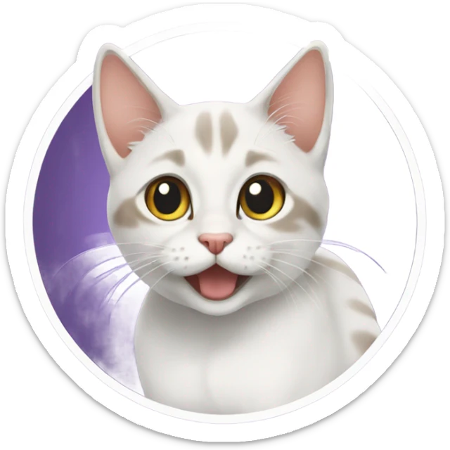 🐱 قطة  sticker