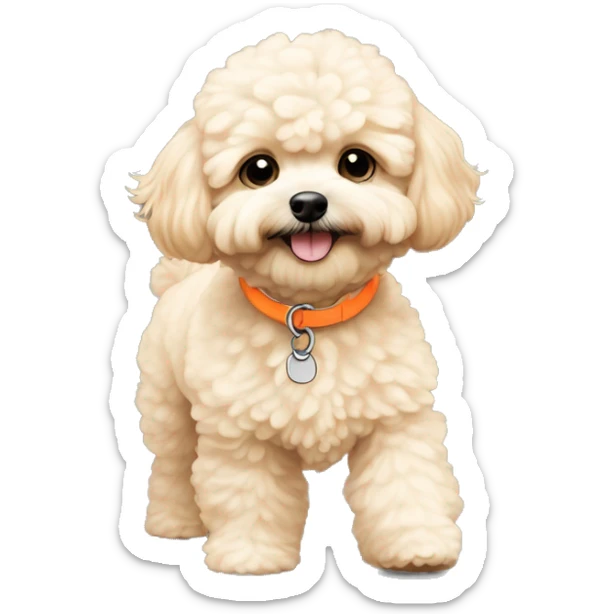 Cream color maltipoo walking wearing neon orange shoes visible 4 of them sticker