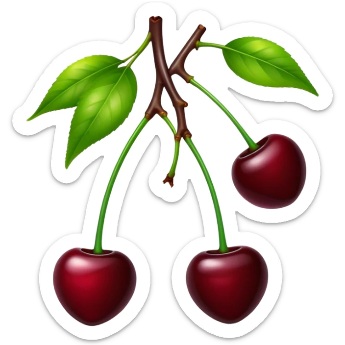 Pair of dark burgundy cherries with green stem, deep rich red color sticker