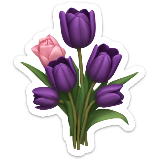 a beautiful aesthetic bouquet composed of dark purple and light pink tulips and dark purple roses tied with a silk purple ribbon sticker