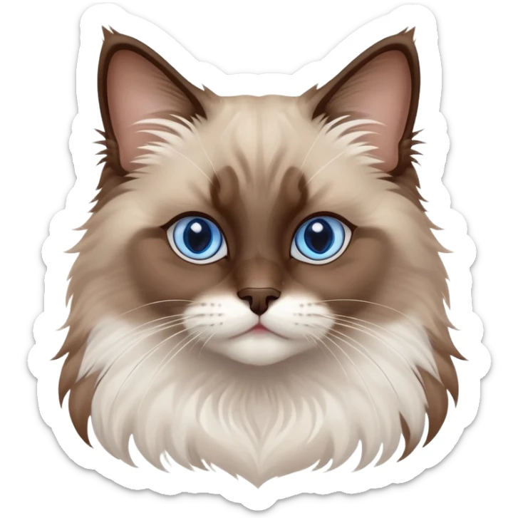 cinematic-fluffy-brown-ragdoll-cat-portrait-emoji,-head-tilted-cutely-with-big,-sparkling-blue-eyes,-soft-brown-and white-colored-fur-with-darker-points-on-the-ears,-face,-and-paws,-simplified-yet-irresistibly-adorable-features, sticker