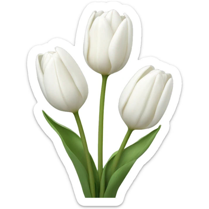 White tulips sticker