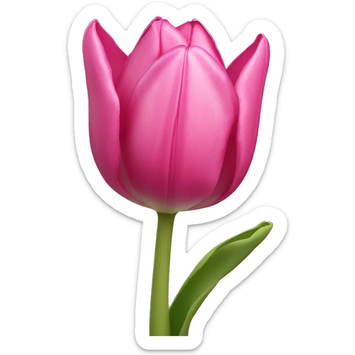 Pink tulip sticker