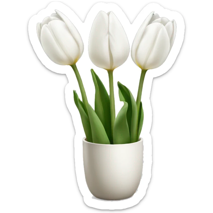 White tulips  sticker