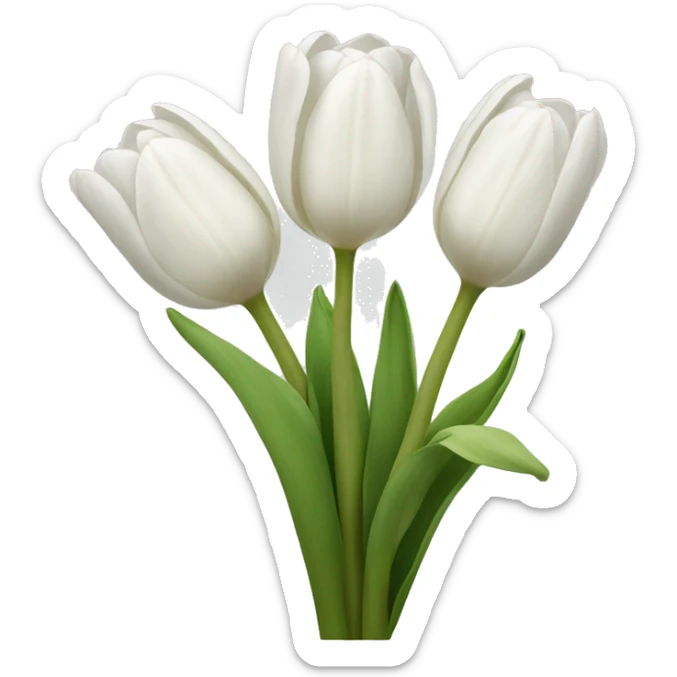 white tulips sticker