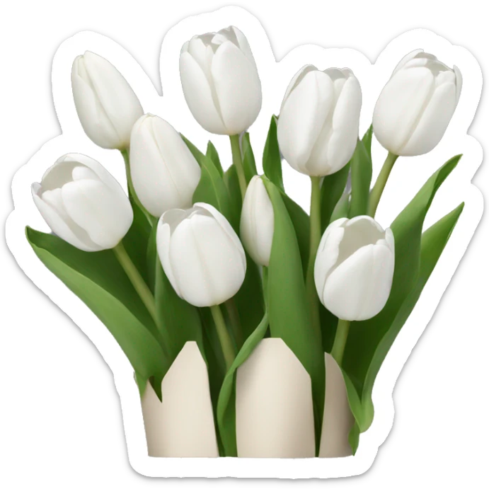 White tulips sticker