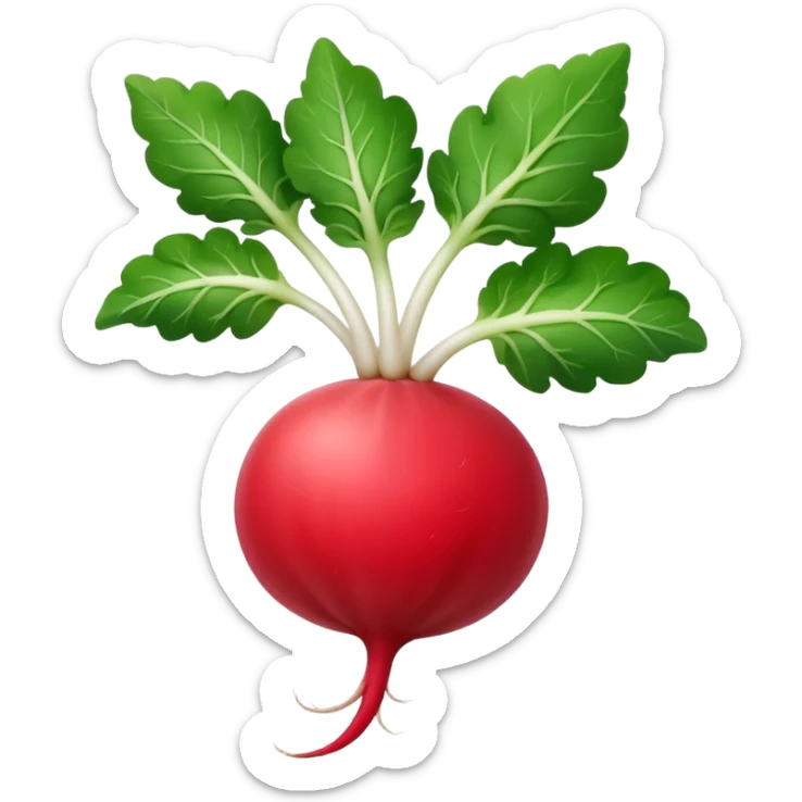 the actual radish compared to the leaves needs to be smaller, radish UK plant with a bit of white on the bottom of the radish sticker
