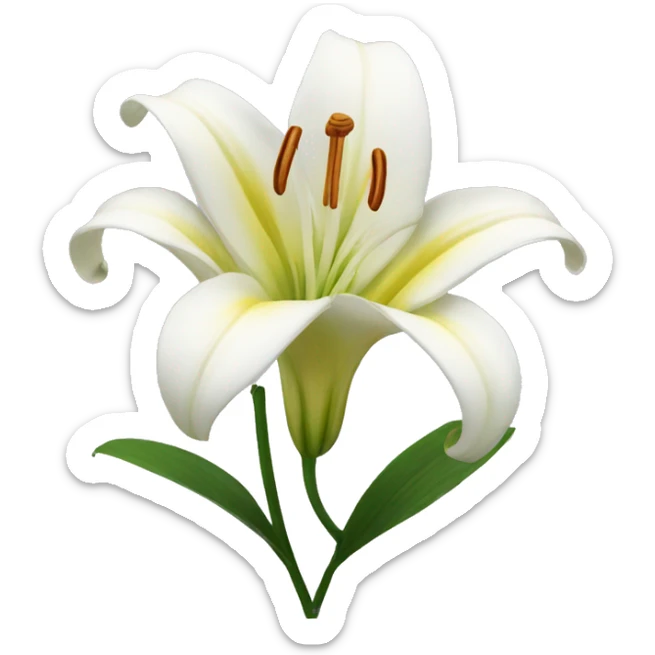 Lily flower  sticker
