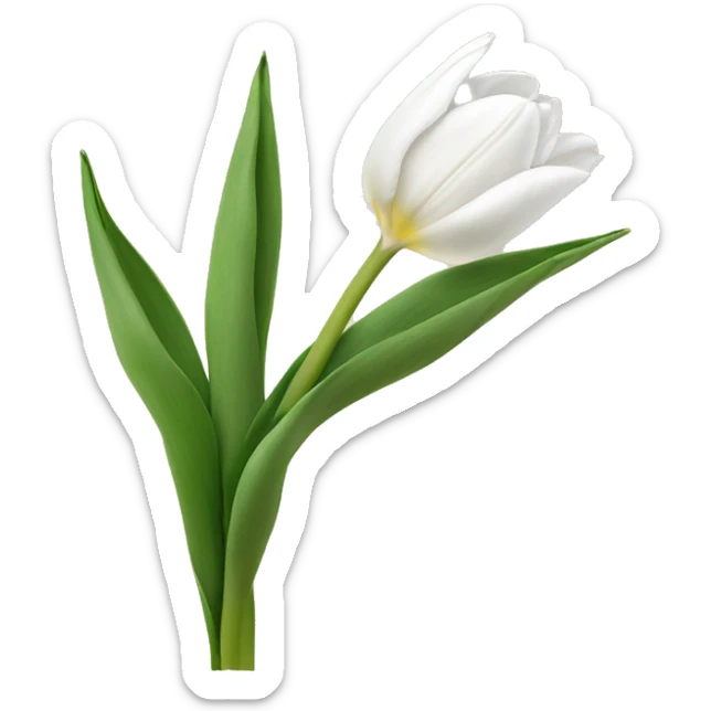 white tulips sticker