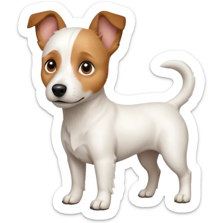 a full body white jack russel looking dog the size of a kelpie with light brown ears and a light brown patch on one eye and a large snout sticker