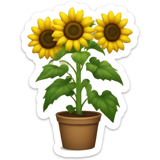 Sunflower sticker
