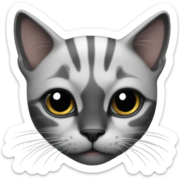 cat with all black face and thin line of white running up her nose looking sweet sticker