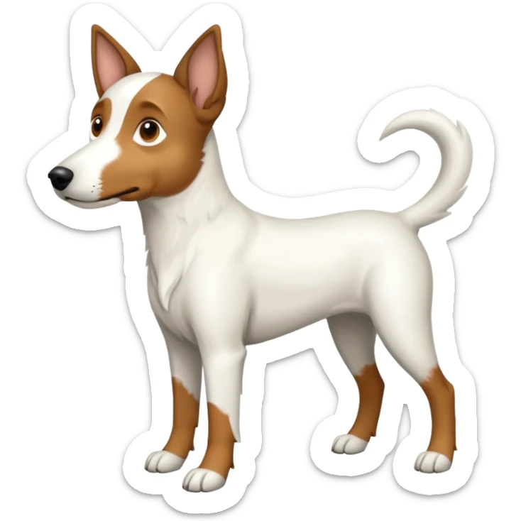 a full body large white floppy eared parson russell looking dog the size of a kelpie with light brown ears and a light brown patch on one eye and a large snout sticker