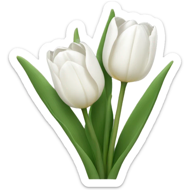 White tulips  sticker