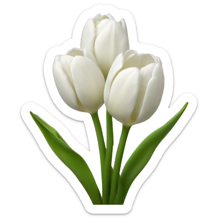 White tulips  sticker