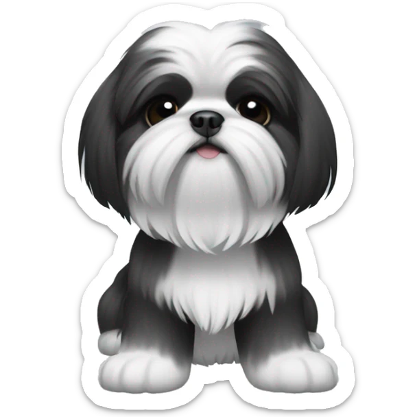2 shi tzu, one all black, one black and white sticker