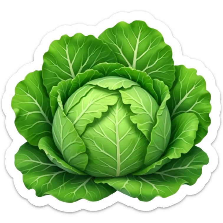 cabbage sticker
