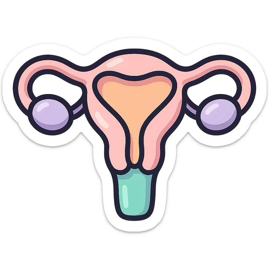 female uterus minimalist, icon-color-outlined style, detailed shadows and highlights, thin clean contours, soft rounded shapes, pastel palette #98B5BC, #B5B3C1, #C9A3C9, #E4C0CA, #F7DCD1, #F7C0AA, modern Japanese pop art and sticker aesthetic, soft lighting, transparent background sticker