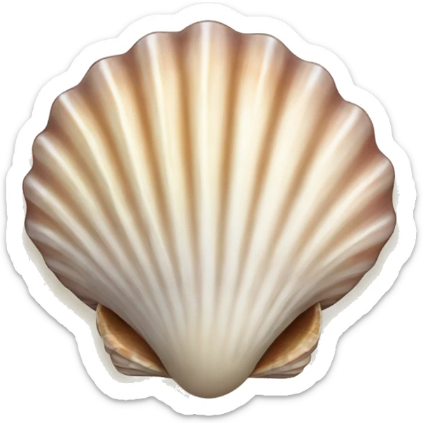 Seashell sticker