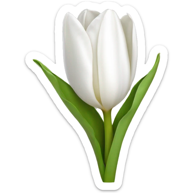 White tulip sticker