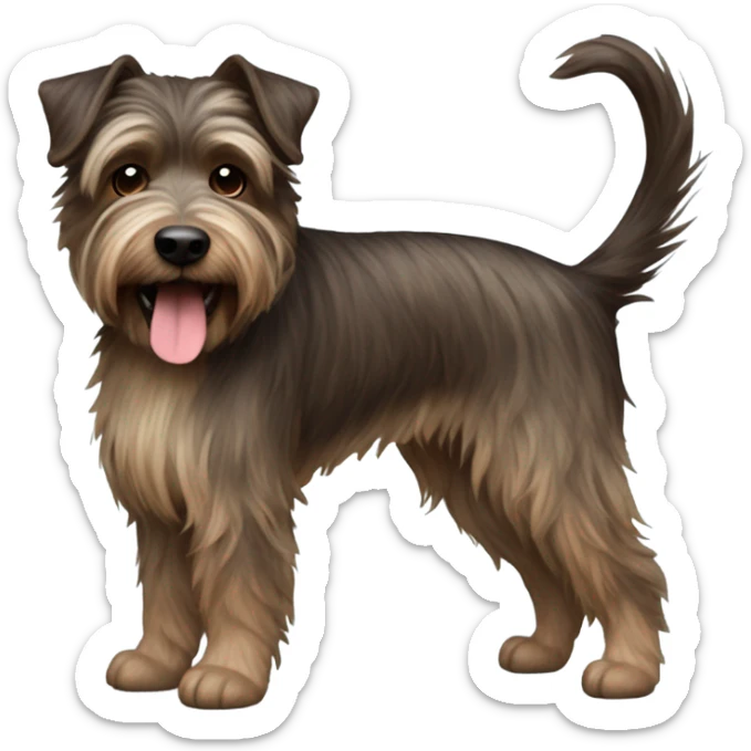 a dark brown haired brindle color terrier with crazy hair and long chin hair name Bon Jovi sticker