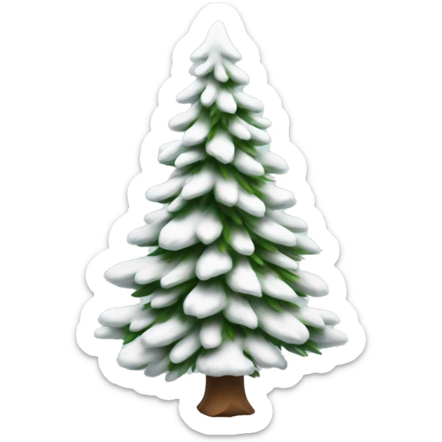  actual white fir christmas tree isolated.  sticker