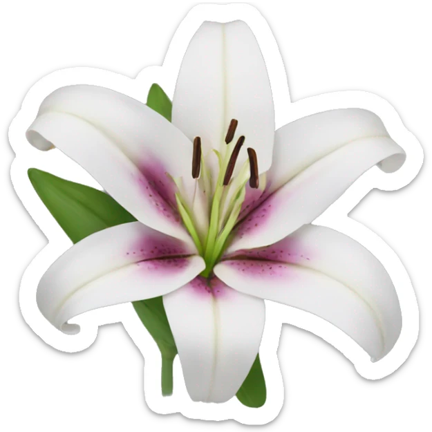 Lily sticker