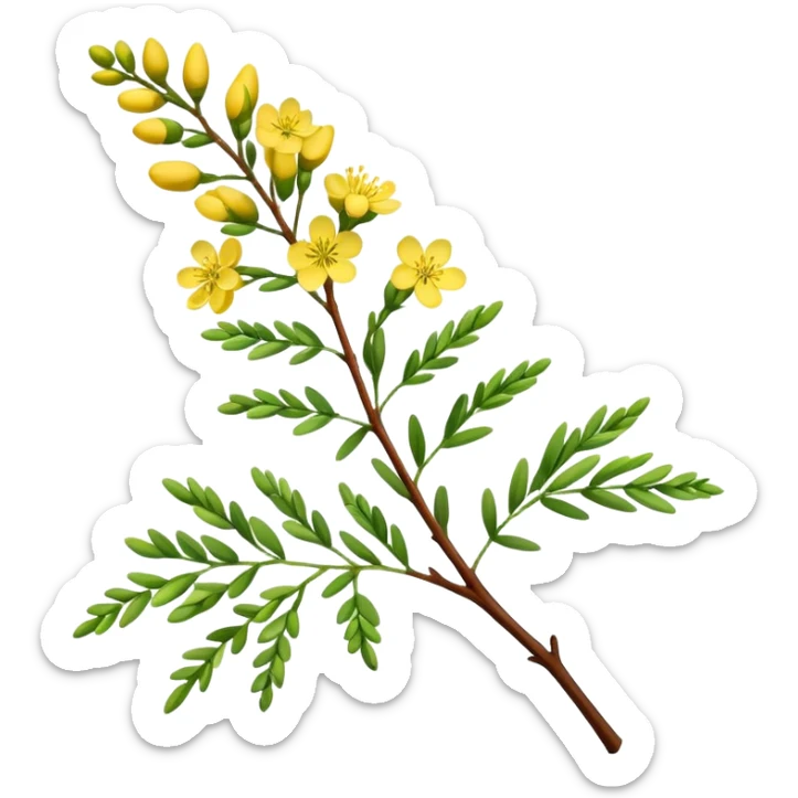 A delicate acacia flower with soft petals and vibrant colors, blooming on a slender branch with green leaves sticker