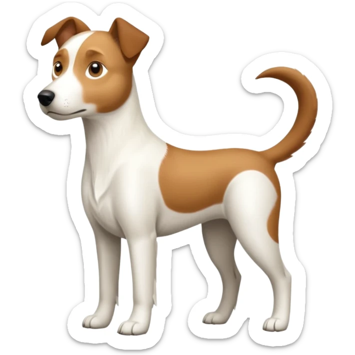 a full body large white parson russell looking dog the size of a kelpie with light brown ears and a light brown patch on one eye and a large snout sticker